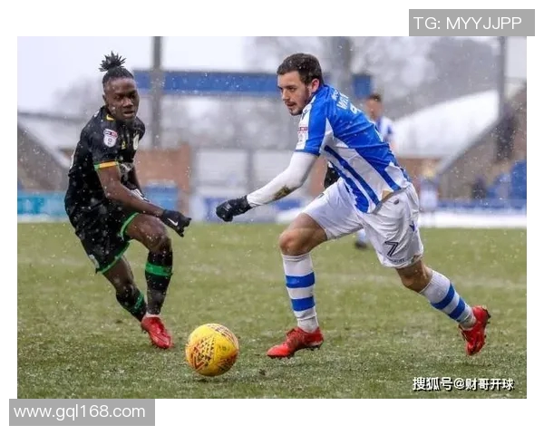 坎比足球的崛起与发展探讨以及对未来足球文化的影响分析